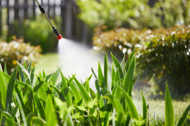 Tamper-Resistant Bait Stations for Rodents in Centerton