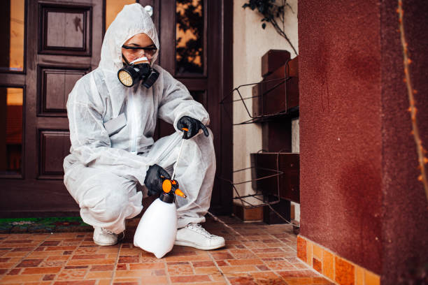 Attic and Crawl Space Rodent Treatment in Centerton
