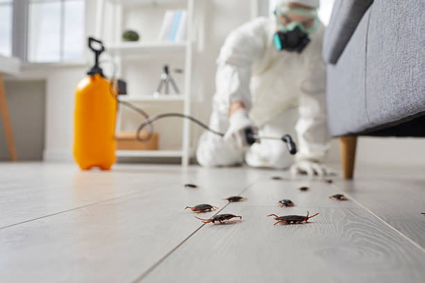Commercial Rodent Management in Centerton